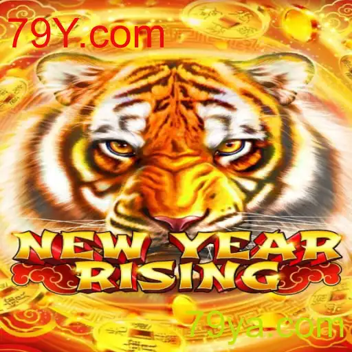 Descubra o Emocionante Mundo de NewYearRising